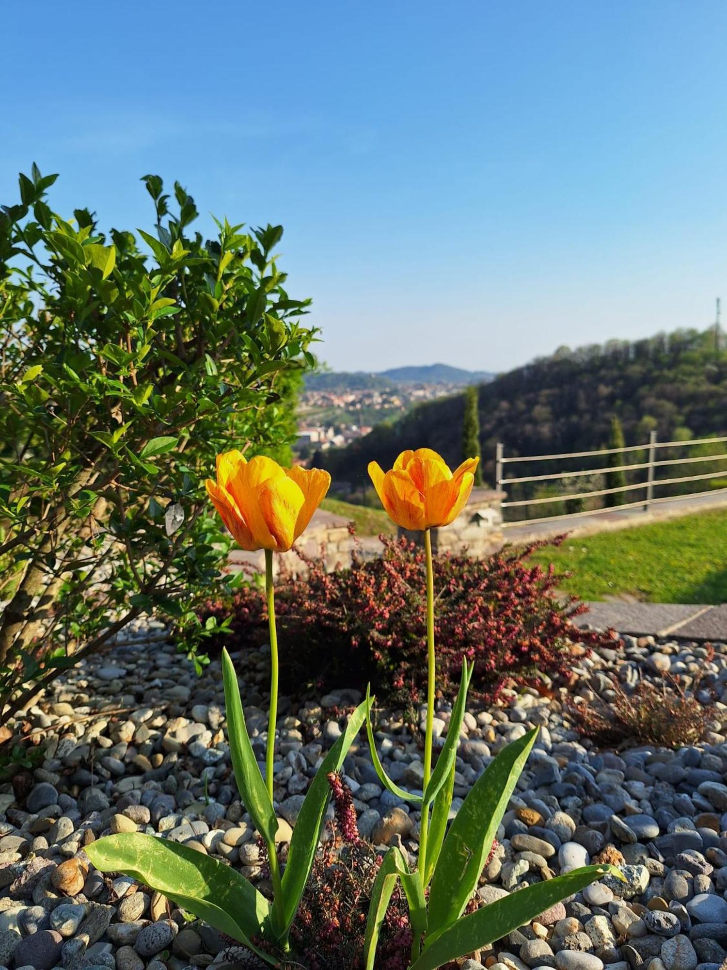 Villa Duno A Un Passo Da Citta Alta Clanezzo Esterno foto