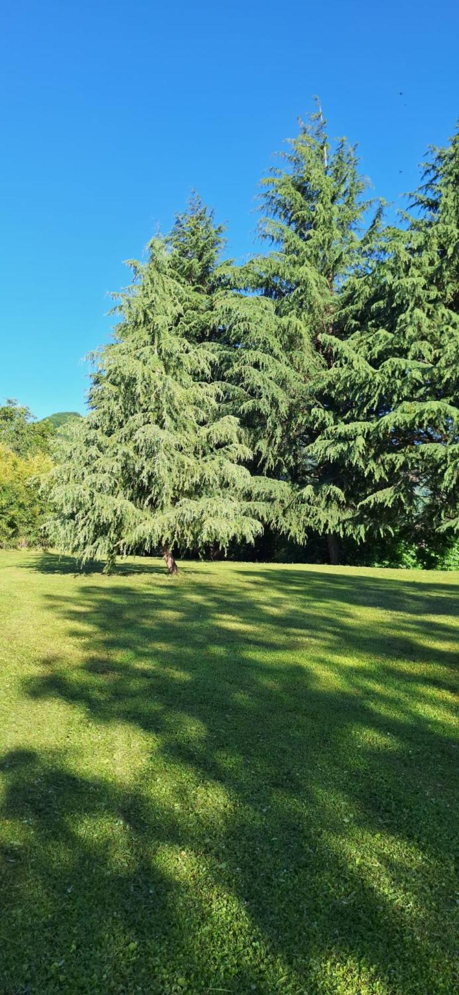 Villa Duno A Un Passo Da Citta Alta Clanezzo Esterno foto